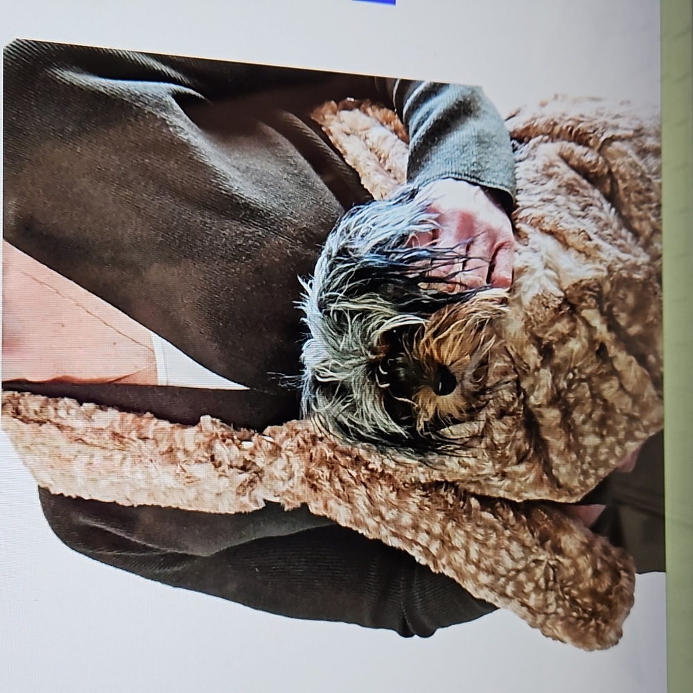 THE DOG SQUAD FUR BABY SLING BAG CARRIER IN FAWN